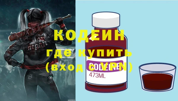 apvp Гусиноозёрск