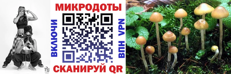 Псилоцибиновые грибы мицелий  купить   Волосово 